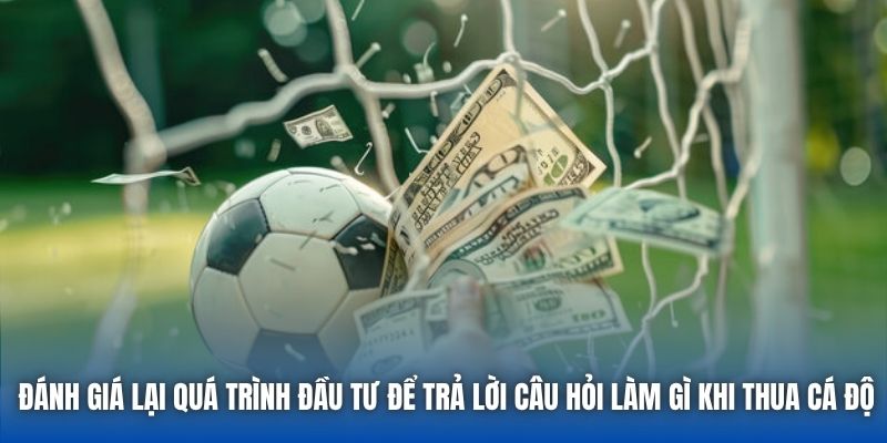 Đánh giá lại quá trình đầu tư để trả lời câu hỏi làm gì khi thua cá độ