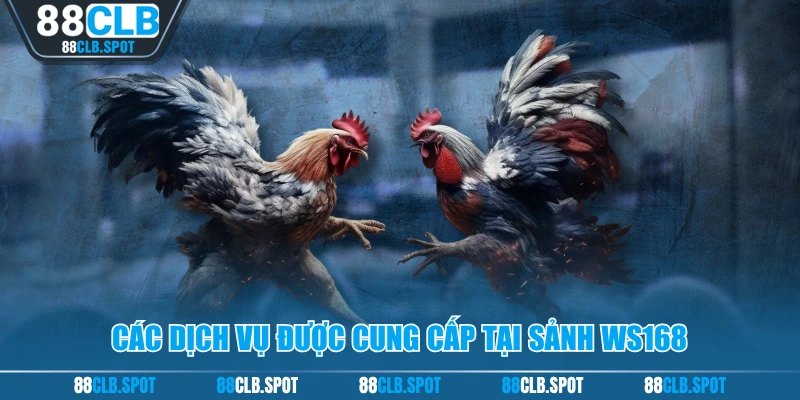 Các dịch vụ được cung cấp tại sảnh WS168