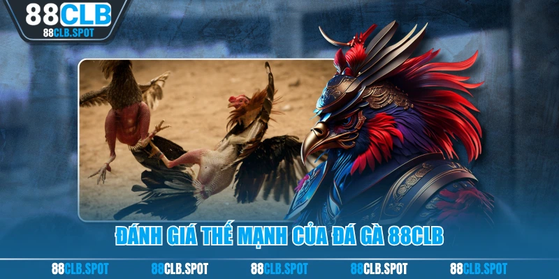 Đánh giá thế mạnh của đá gà 88CLB