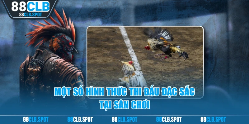 Một số hình thức thi đấu đặc sắc tại sân chơi
