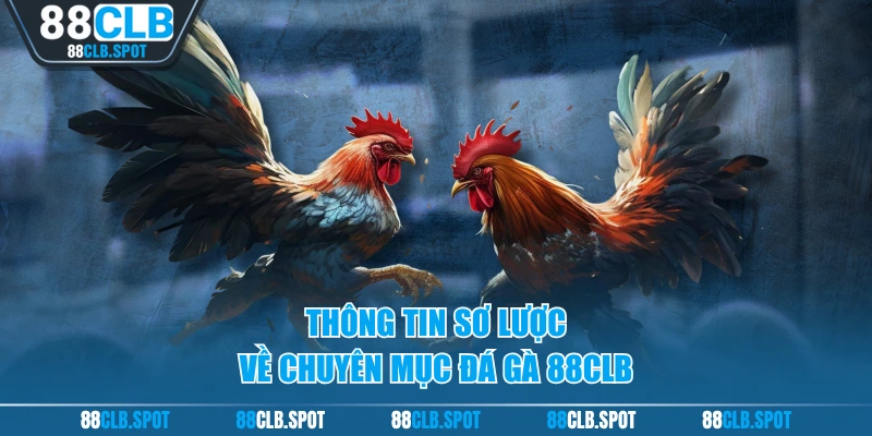 Thông tin sơ lược về chuyên mục đá gà 88CLB